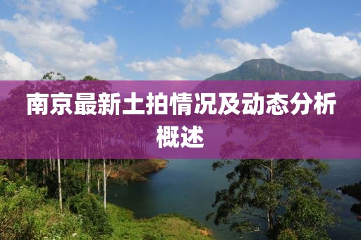 南京最新土拍情况及动态分析概述