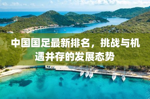 中国国足最新排名，挑战与机遇并存的发展态势