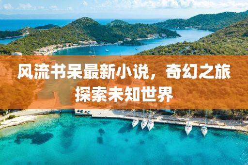 风流书呆最新小说，奇幻之旅探索未知世界