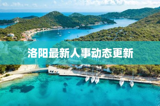 洛阳最新人事动态更新