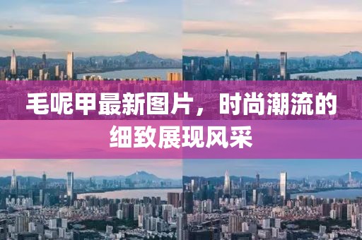 毛呢甲最新图片，时尚潮流的细致展现风采