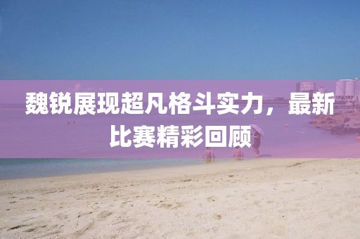 魏锐展现超凡格斗实力，最新比赛精彩回顾