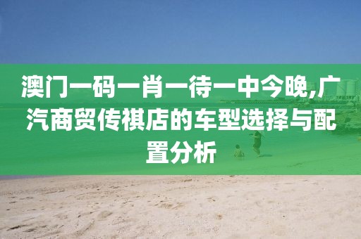 澳门一码一肖一待一中今晚,广汽商贸传祺店的车型选择与配置分析