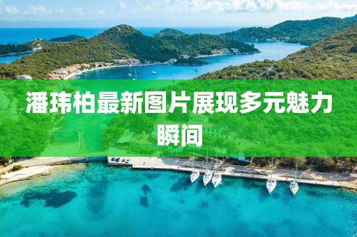 潘玮柏最新图片展现多元魅力瞬间