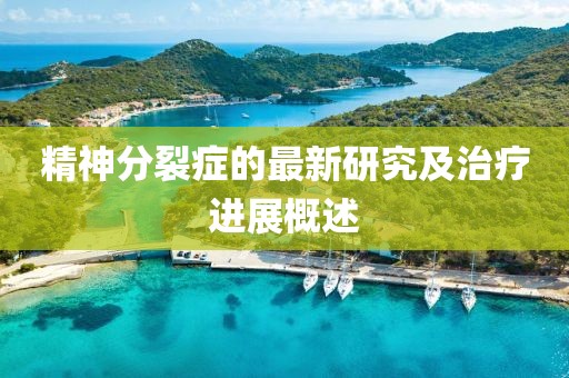 精神分裂症的最新研究及治疗进展概述