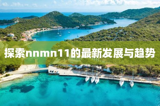 探索nnmn11的最新发展与趋势