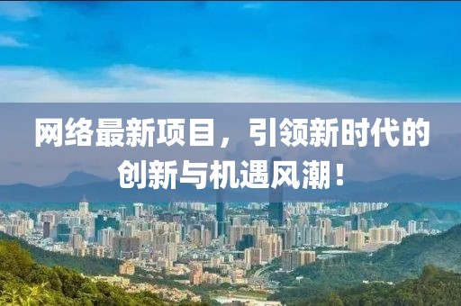 网络最新项目，引领新时代的创新与机遇风潮！