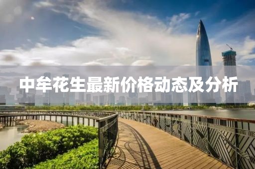 中牟花生最新价格动态及分析