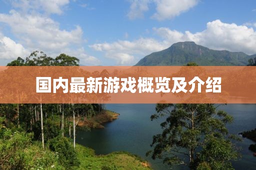 国内最新游戏概览及介绍