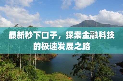 最新秒下口子，探索金融科技的极速发展之路