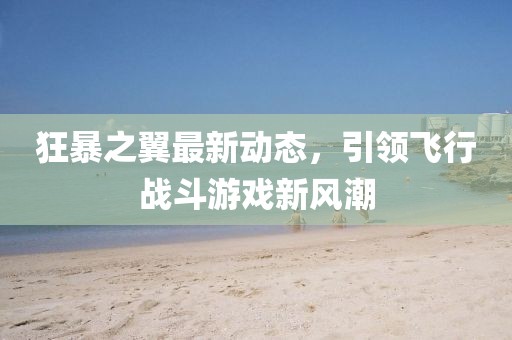 狂暴之翼最新动态，引领飞行战斗游戏新风潮