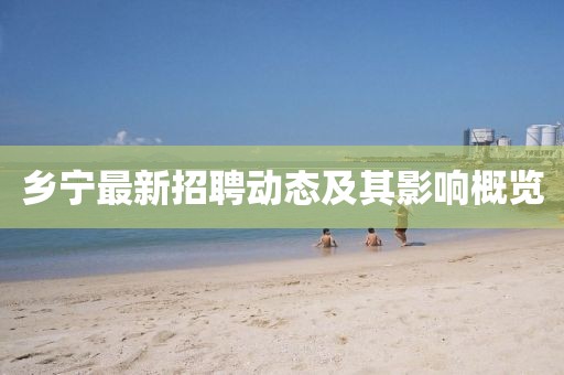 乡宁最新招聘动态及其影响概览
