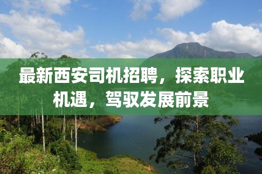最新西安司机招聘，探索职业机遇，驾驭发展前景