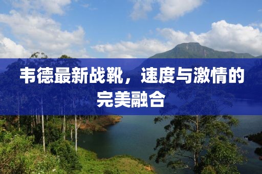 韦德最新战靴，速度与激情的完美融合