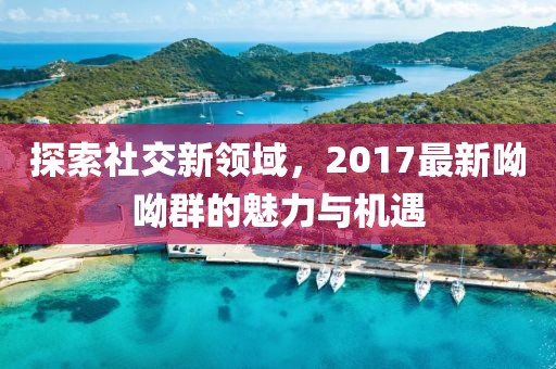探索社交新领域，2017最新呦呦群的魅力与机遇