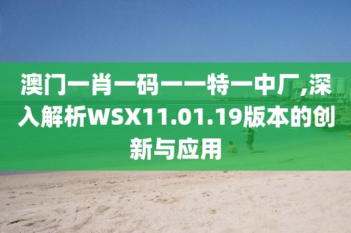 澳门一肖一码一一特一中厂,深入解析WSX11.01.19版本的创新与应用