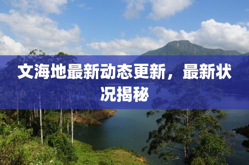 文海地最新动态更新，最新状况揭秘