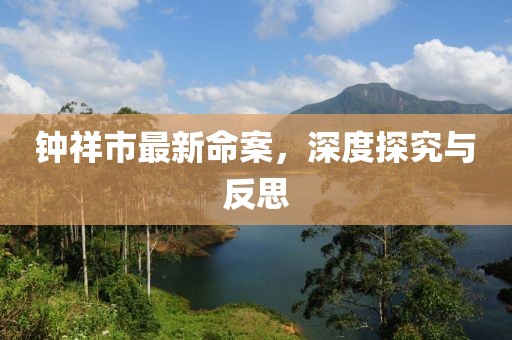 钟祥市最新命案，深度探究与反思
