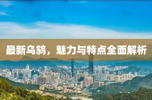 最新乌鸫，魅力与特点全面解析