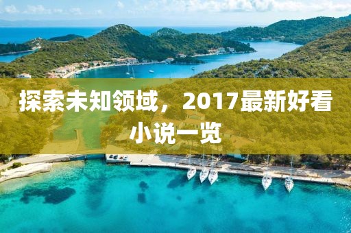 探索未知领域，2017最新好看小说一览