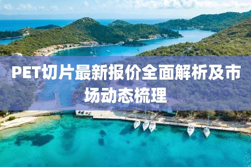 PET切片最新报价全面解析及市场动态梳理