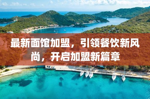 最新面馆加盟，引领餐饮新风尚，开启加盟新篇章