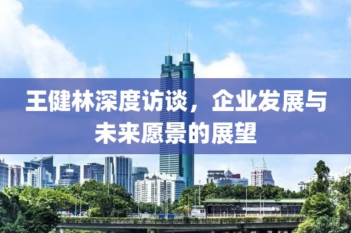 王健林深度访谈，企业发展与未来愿景的展望