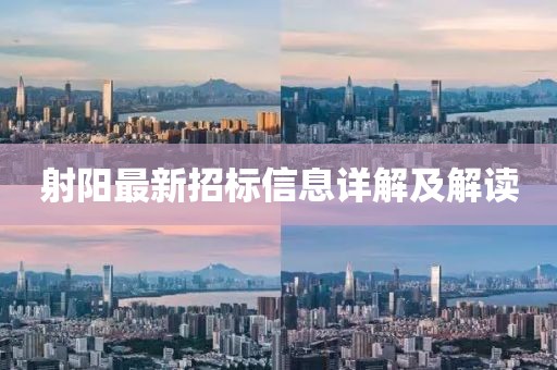 射阳最新招标信息详解及解读