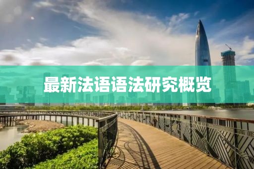 最新法语语法研究概览