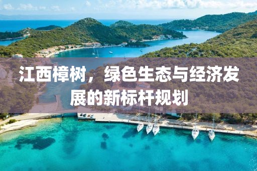江西樟树，绿色生态与经济发展的新标杆规划