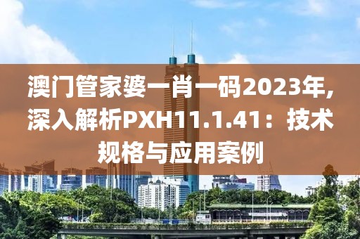 澳门管家婆一肖一码2023年,深入解析PXH11.1.41：技术规格与应用案例