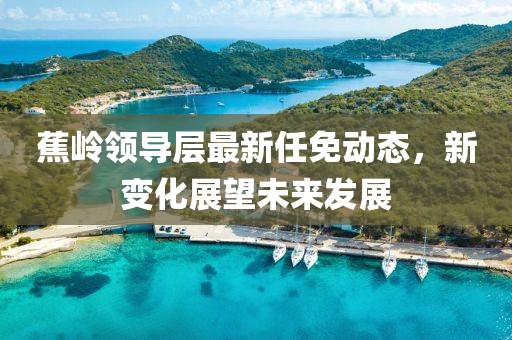 蕉岭领导层最新任免动态，新变化展望未来发展