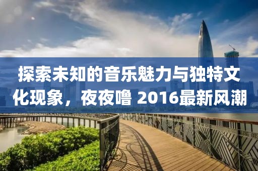 探索未知的音乐魅力与独特文化现象，夜夜噜 2016最新风潮