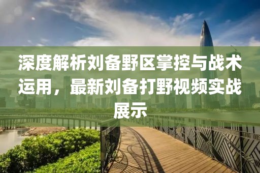 深度解析刘备野区掌控与战术运用，最新刘备打野视频实战展示