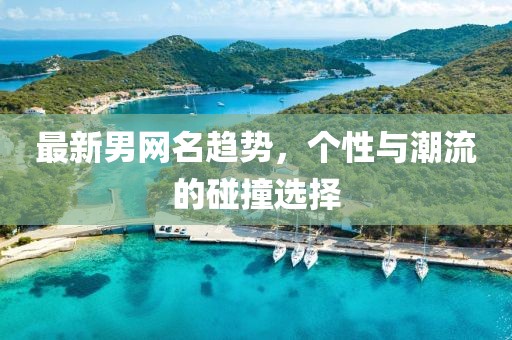 最新男网名趋势，个性与潮流的碰撞选择