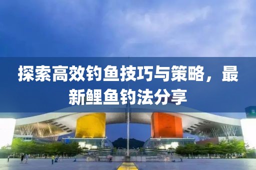 探索高效钓鱼技巧与策略，最新鲤鱼钓法分享