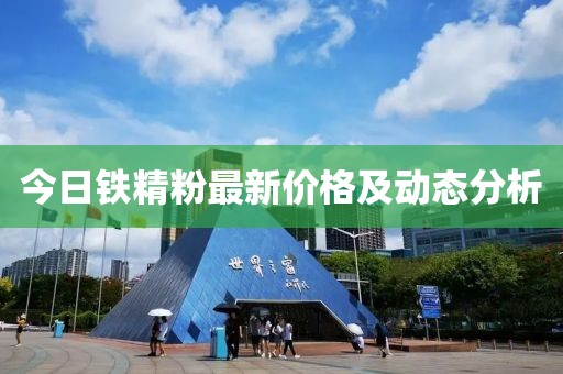 今日铁精粉最新价格及动态分析