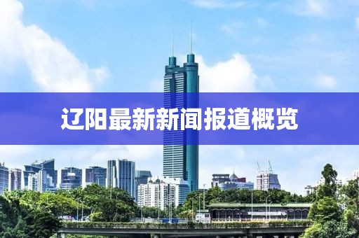 辽阳最新新闻报道概览
