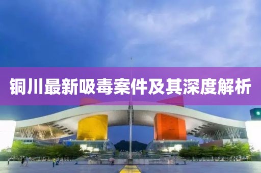 铜川最新吸毒案件及其深度解析