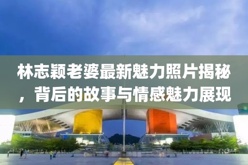 林志颖老婆最新魅力照片揭秘，背后的故事与情感魅力展现
