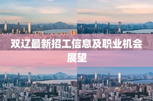 双辽最新招工信息及职业机会展望