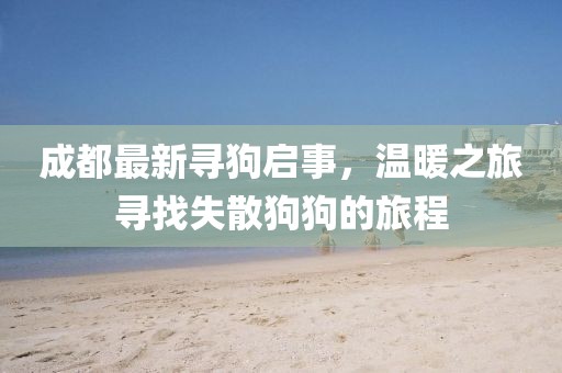 成都最新寻狗启事，温暖之旅寻找失散狗狗的旅程