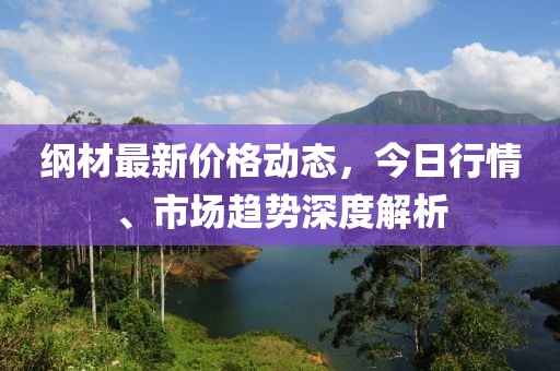 纲材最新价格动态，今日行情、市场趋势深度解析