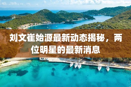 刘文崔始源最新动态揭秘，两位明星的最新消息