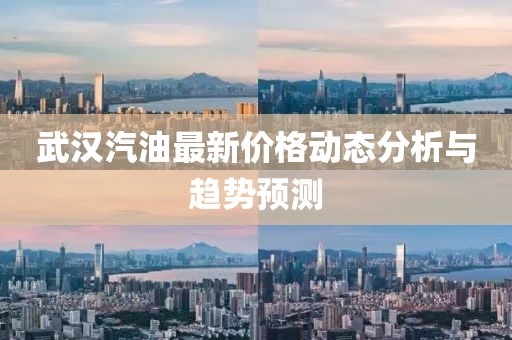 武汉汽油最新价格动态分析与趋势预测