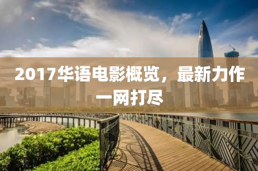 2017华语电影概览，最新力作一网打尽
