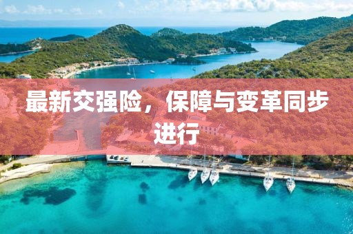 最新交强险，保障与变革同步进行