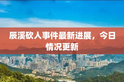 辰溪砍人事件最新进展，今日情况更新