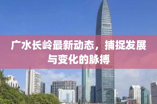 广水长岭最新动态，捕捉发展与变化的脉搏