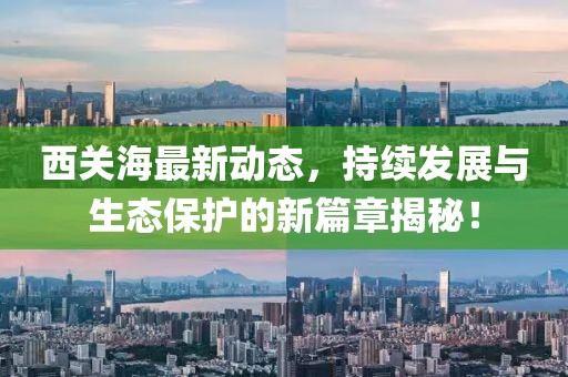 西关海最新动态，持续发展与生态保护的新篇章揭秘！
